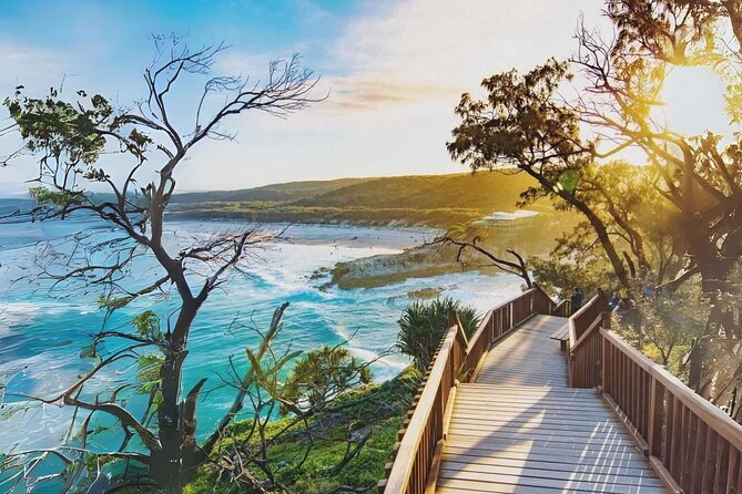 Stradbroke Island Eco Day Trip from Brisbane – Wildlife & Beaches - Price and Value: What $136.28 Actually Buys You