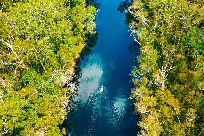 Sunshine Coast Hinterland Day Tour: Noosa, Eumundi and Montville - Montville: where the coffee and crafts slow you down