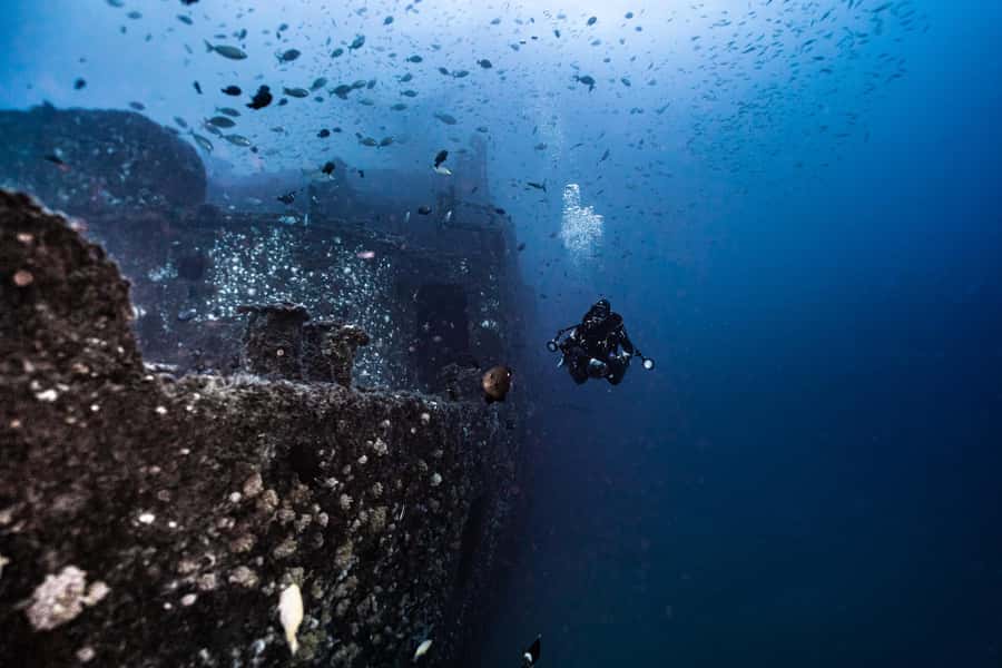 Sunshine Coast: Scuba Dive the Ex-HMAS Brisbane Ship Wreck - Mooloolaba Start: The Easy Part Before the Water Temps Hit