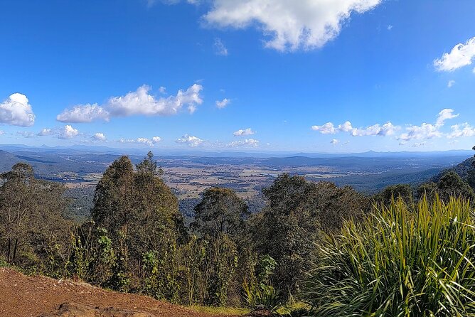 Tamborine Mountain and Paradise Point Tour from Brisbane - From Brisbane: Westin pickup and a small-group rhythm