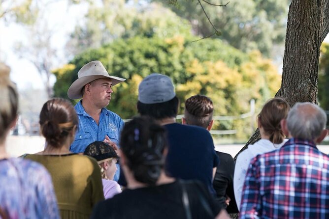 Tour, Taste & Camel Encounter - Summer Land Camel Farm: a short Brisbane trip with real hands-on value