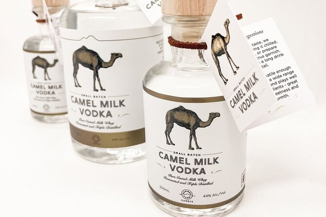 Tour, Taste & Camel Encounter - Cheese and gelato made from camel milk: the practical payoff
