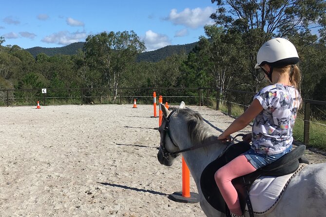 Trevena Glen 1hr Animal Tour - The one-hour plan: what actually happens during your tour