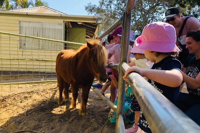 Trevena Glen 1hr Animal Tour - Practical tips for a smooth farm tour day