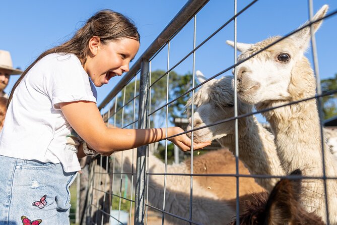 Trevena Glen Farm Animal Experience - Key highlights you’ll feel fast