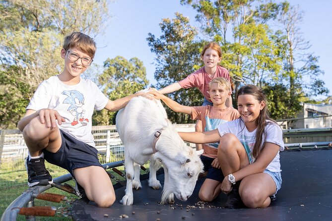 Trevena Glen Farm Animal Experience - Price and value: what $17.93 really buys you