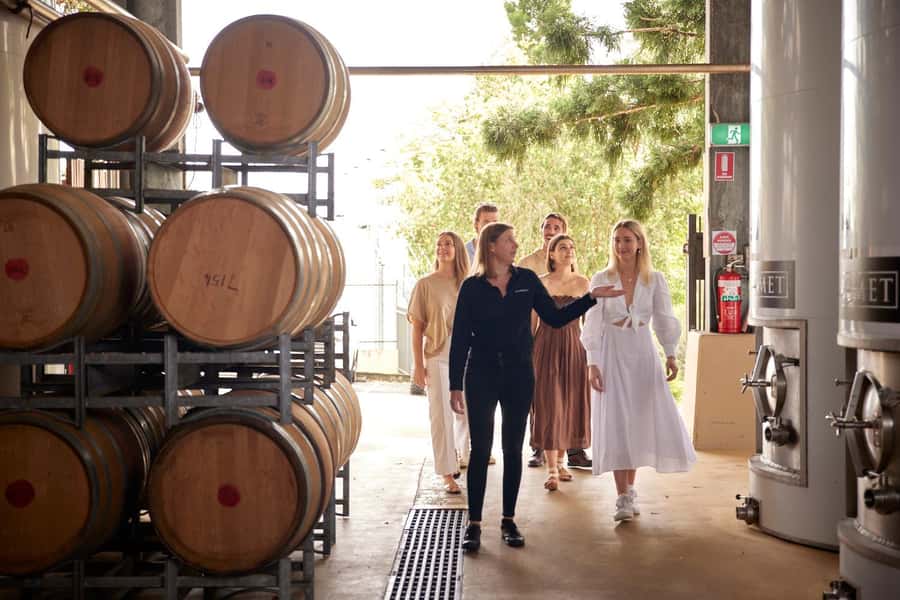 Winery Tour and Tasting - Entering the winery: views that set the mood fast