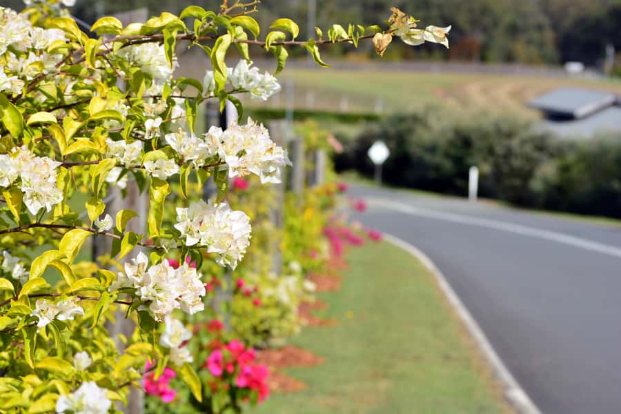Winery Tour and Tasting - Getting the most out of your 90 minutes